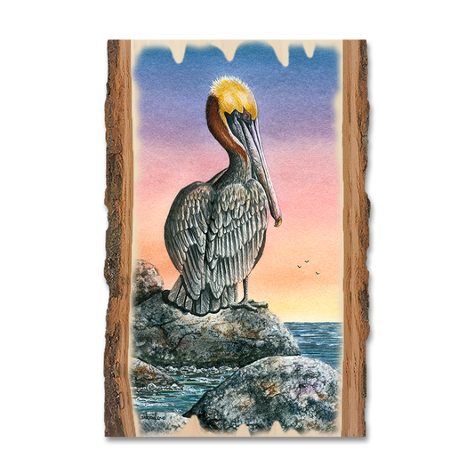 Magnet: Live Edge - Bartholet's The Cove
