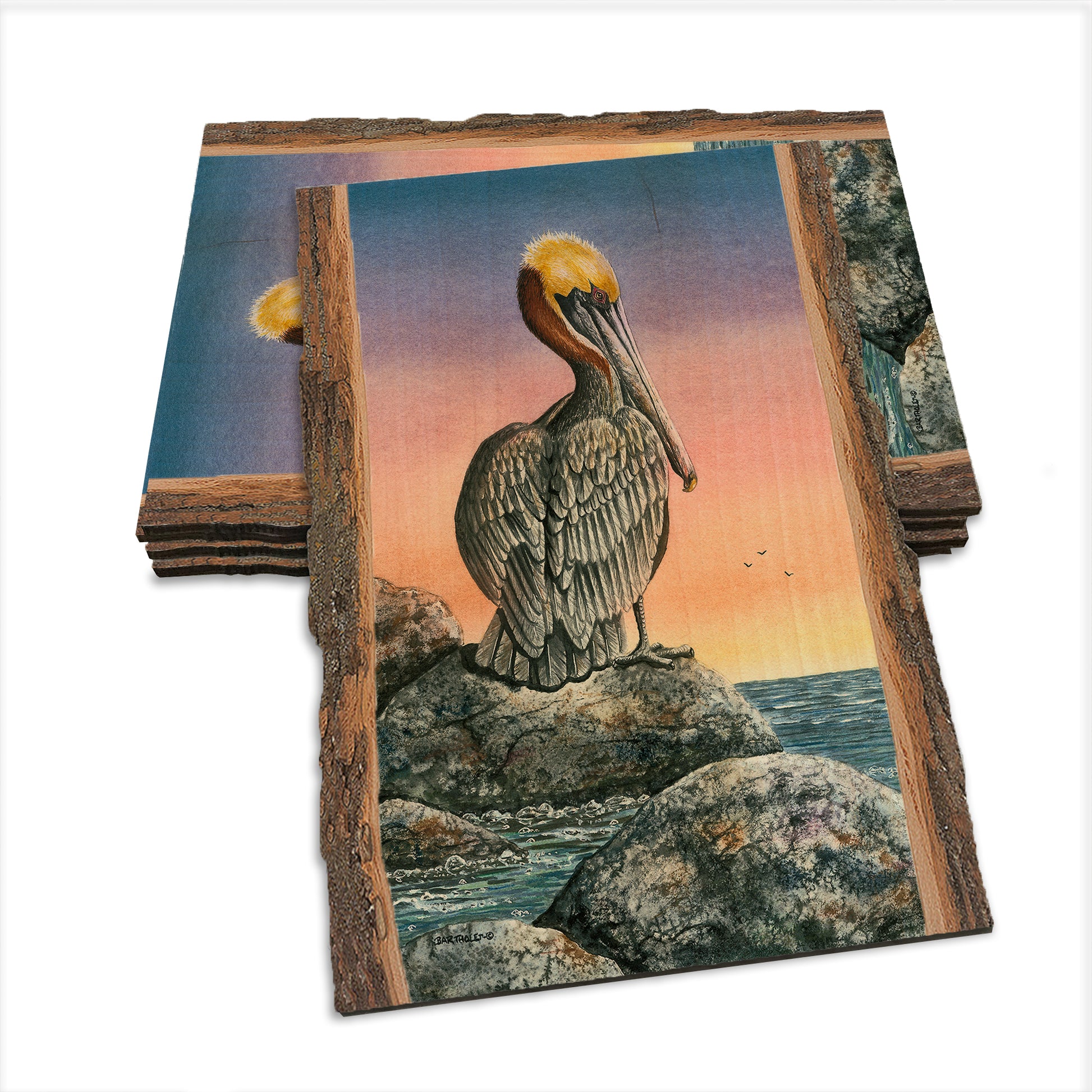 Bartholet's The Cove  - Live Edge Live Edge Postcard (5pk // $2.80ea)