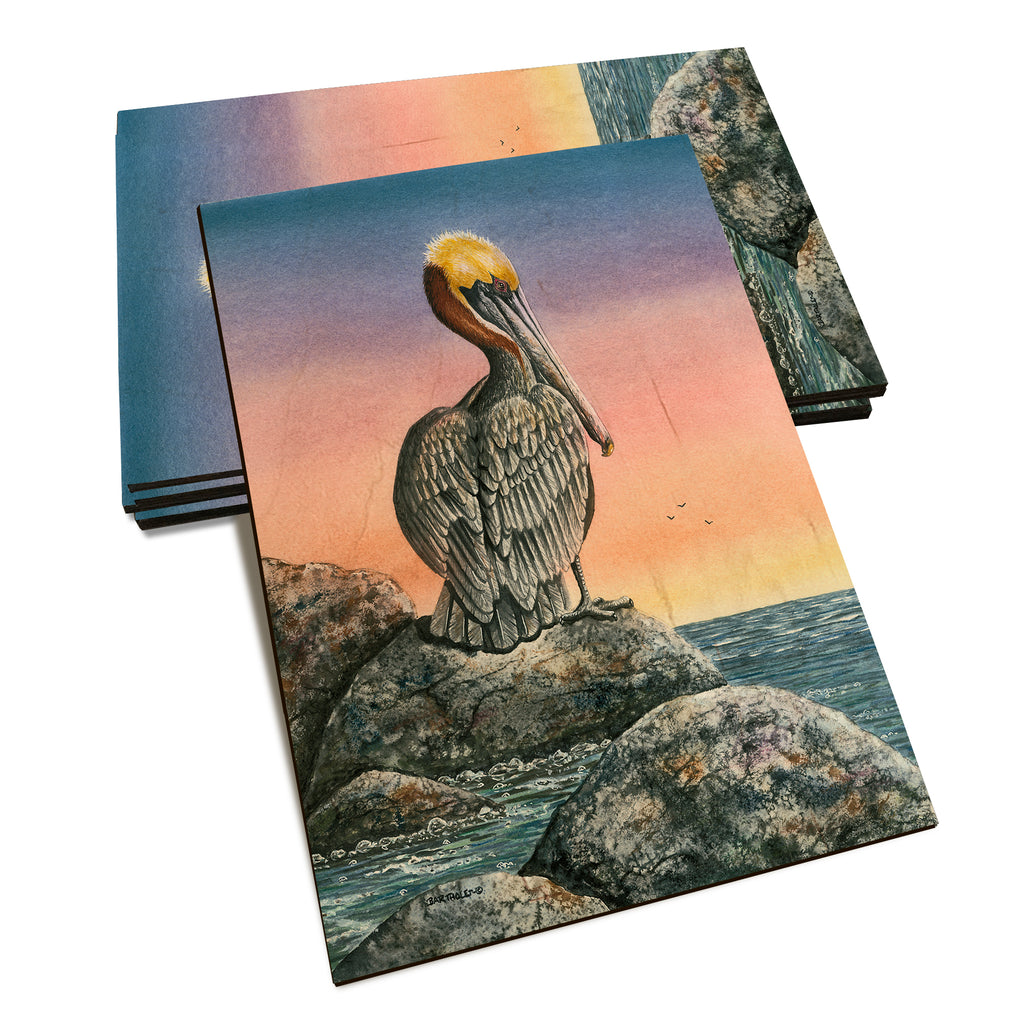 Bartholet's The Cove  - Classic Edge Classic Edge Postcard (5pk // $2.80ea)