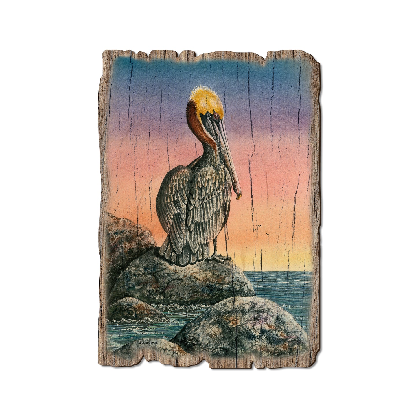 Bartholet's The Cove - Rustic Edge Postcards & Magnets Rustic Edge Postcard (5pk // $2.80ea)