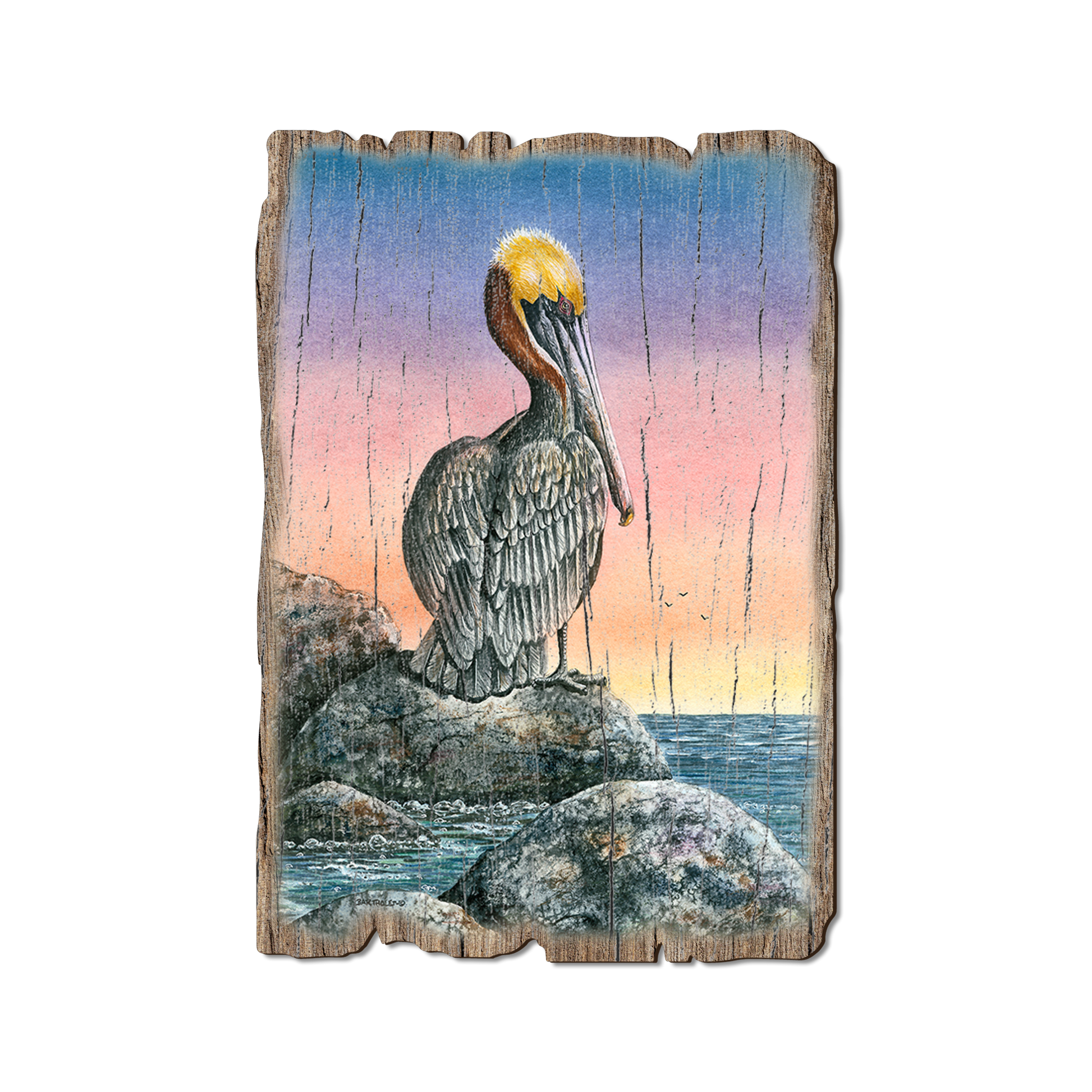 Ornament: Weathered Edge - Bartholet's The Cove