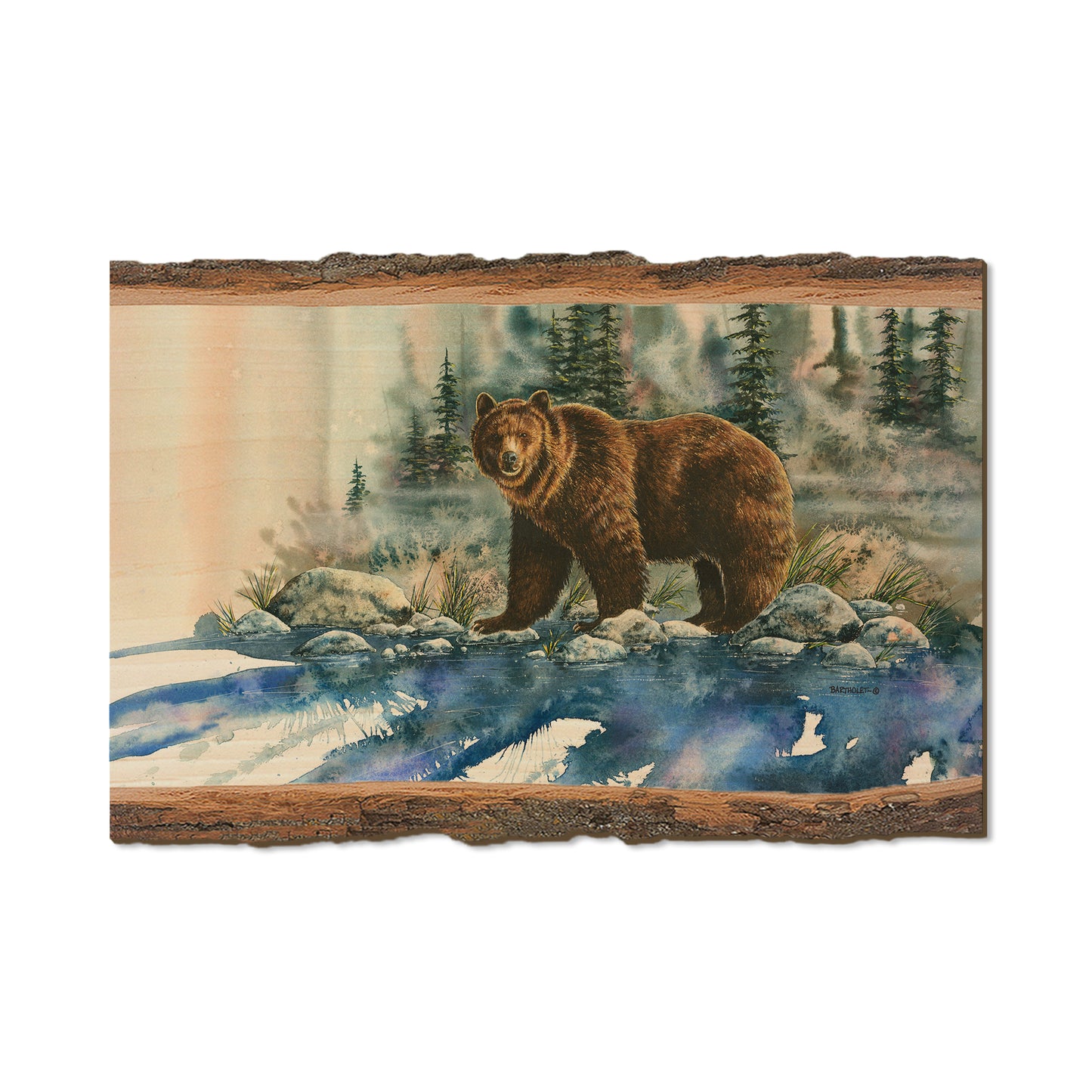 Bartholet's Too Close For Comfort  - Live Edge Live Edge Postcard (5pk // $2.80ea)