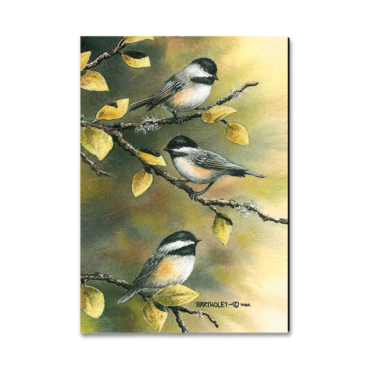 Magnet: Classic Edge - Bartholet's Three Chickadees