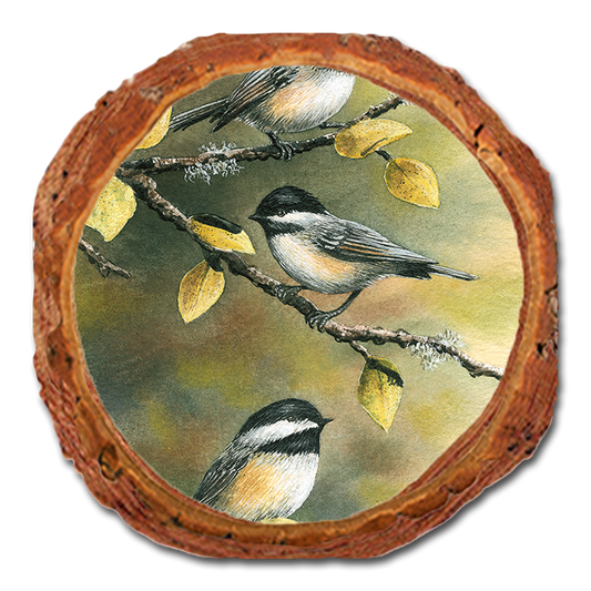 Coaster: Live Edge - Bartholet's Three Chickadees (Pack of 5)