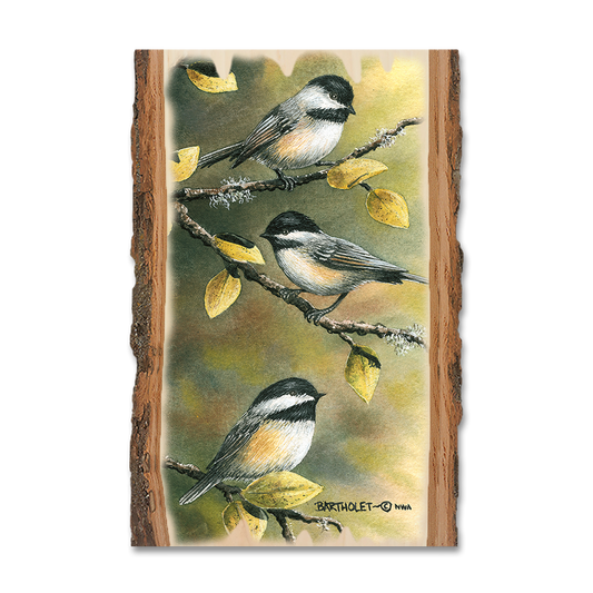 Magnet: Live Edge - Bartholet's Three Chickadees