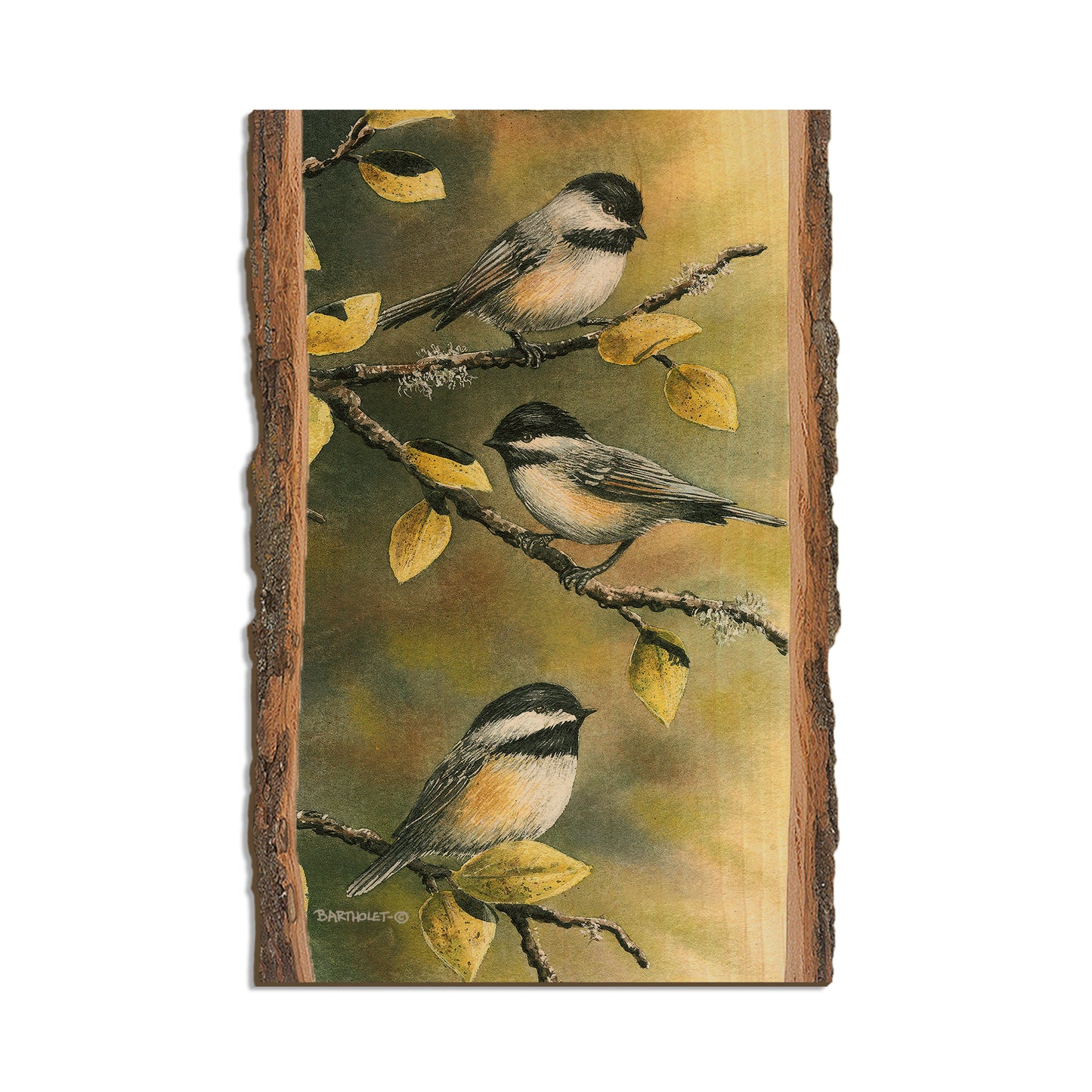 Bartholet's Three Chickadees  - Live Edge Live Edge Postcard (5pk // $2.80ea)