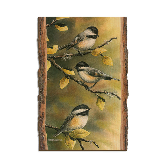 Bartholet's Three Chickadees  - Live Edge Live Edge Postcard (5pk // $2.80ea)