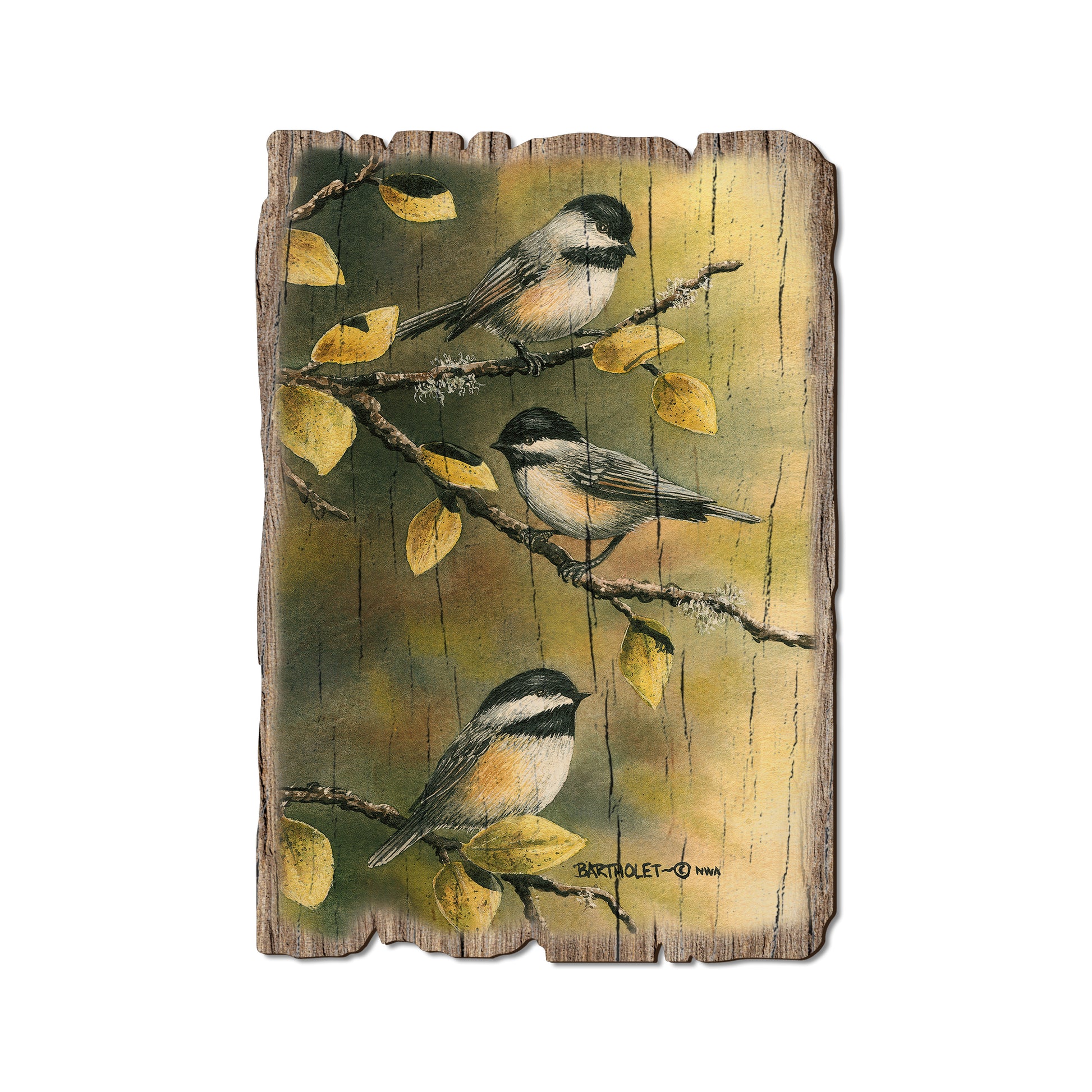 Bartholet's Three Chickadees - Rustic Edge Postcards & Magnets Rustic Edge Postcard (5pk // $2.80ea)