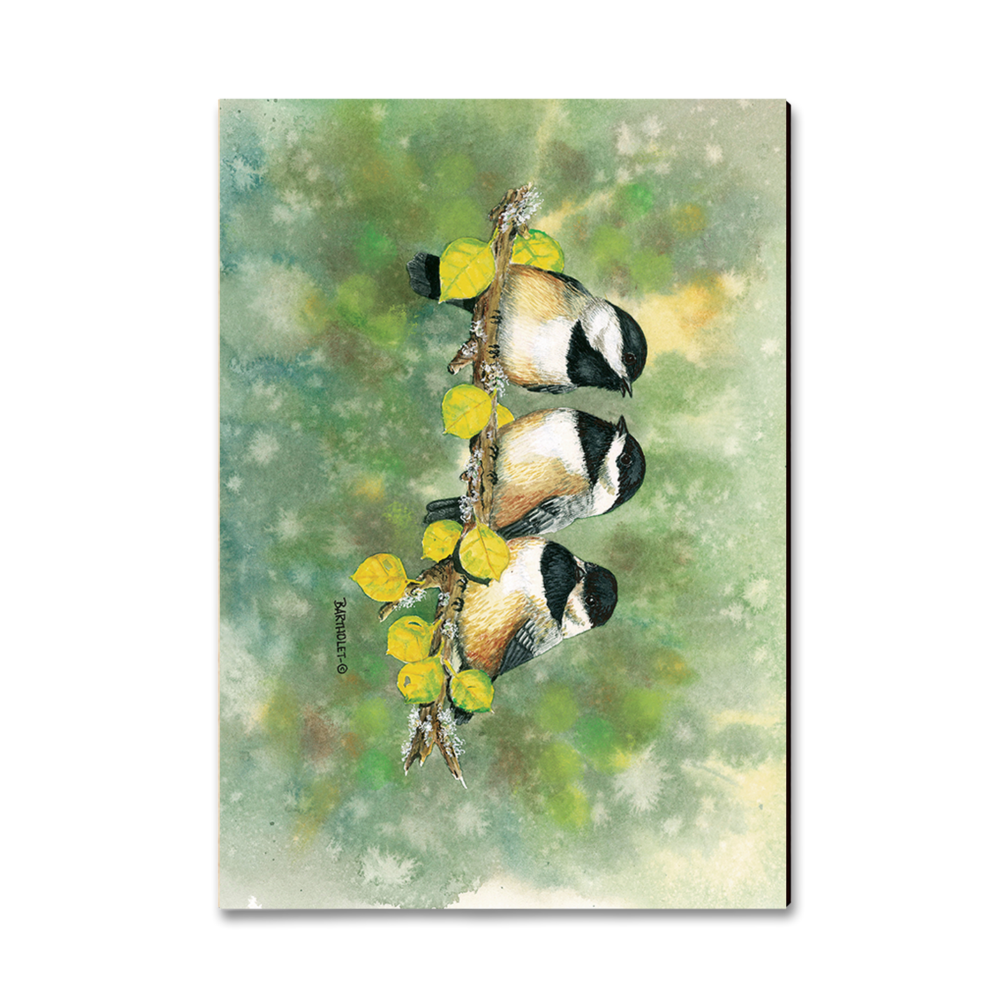 Greeting Card: Classic Edge - Bartholet's Three's Company