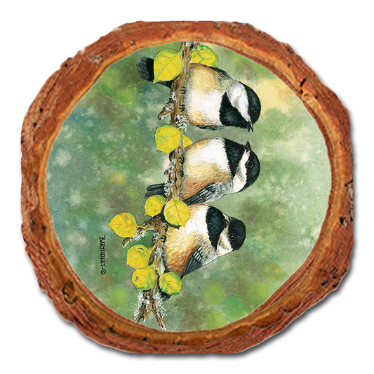 Coaster: Live Edge - Bartholet's Three's Company
