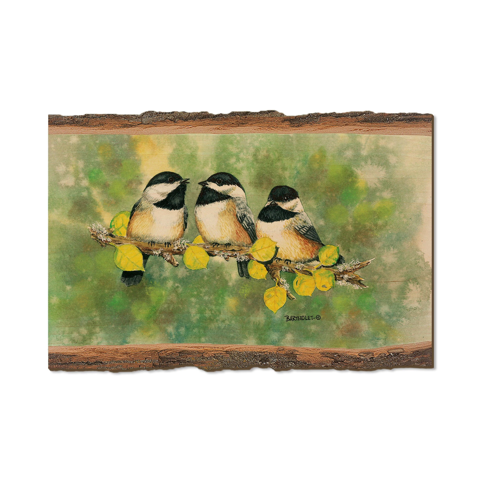 Bartholet's Three's Company  - Live Edge Live Edge Postcard (5pk // $2.80ea)