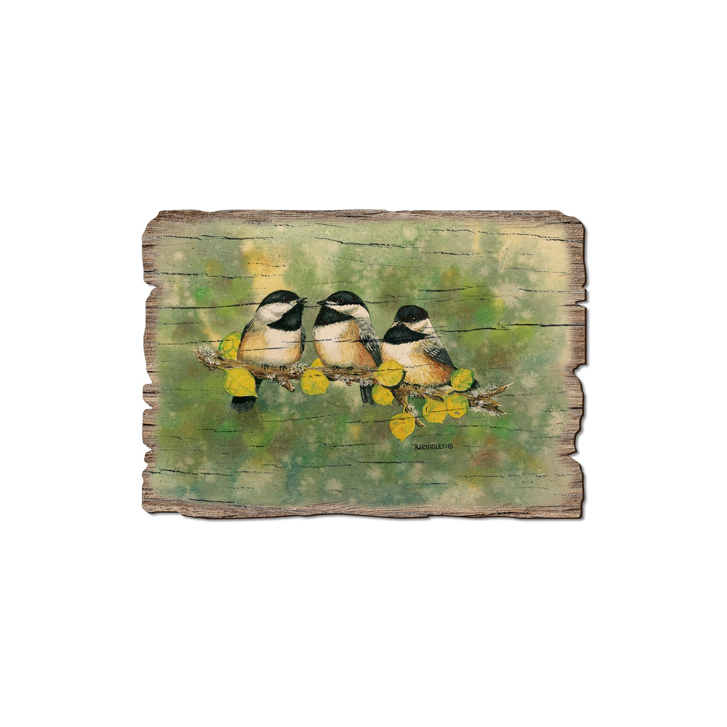 Bartholet's Threes Company - Rustic Edge Postcards & Magnets Rustic Edge Magnet (5pk // $2.80ea)