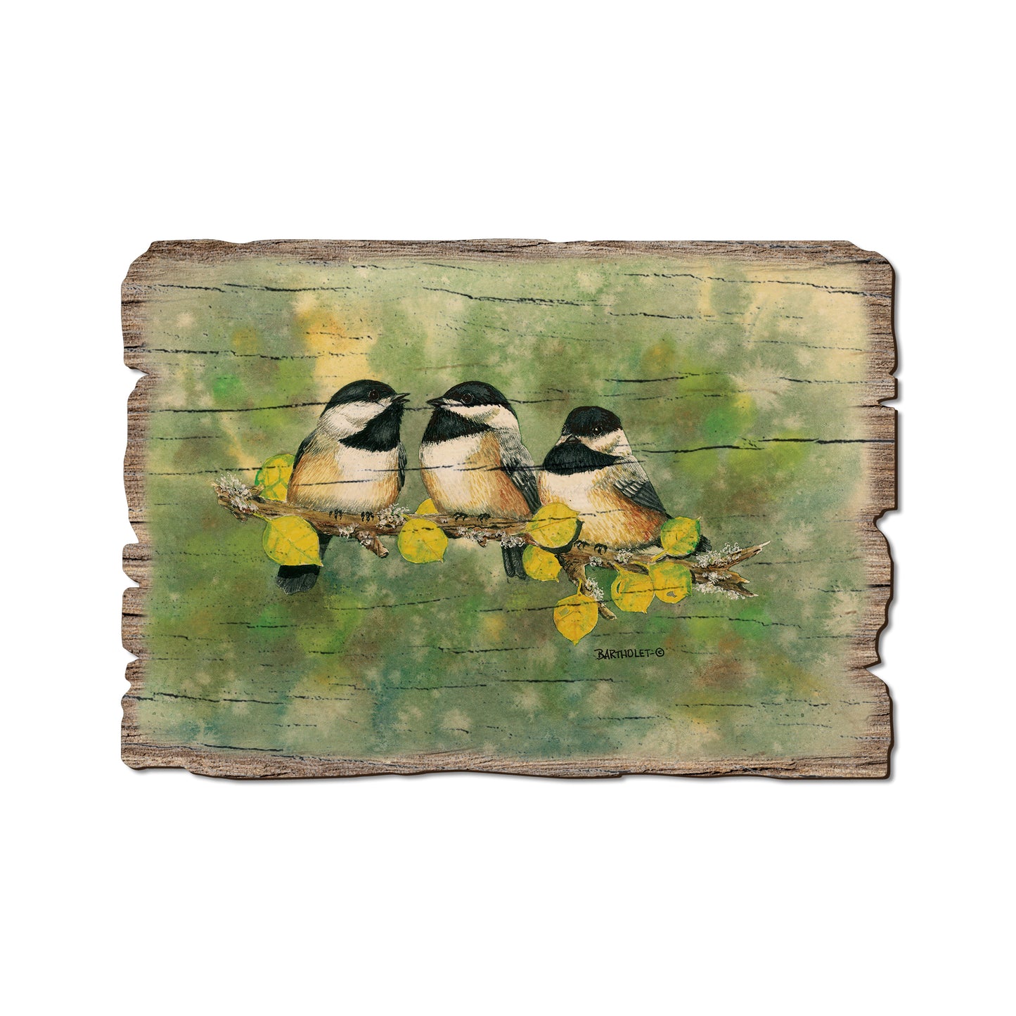 Bartholet's Threes Company - Rustic Edge Postcards & Magnets Rustic Edge Postcard (5pk // $2.80ea)