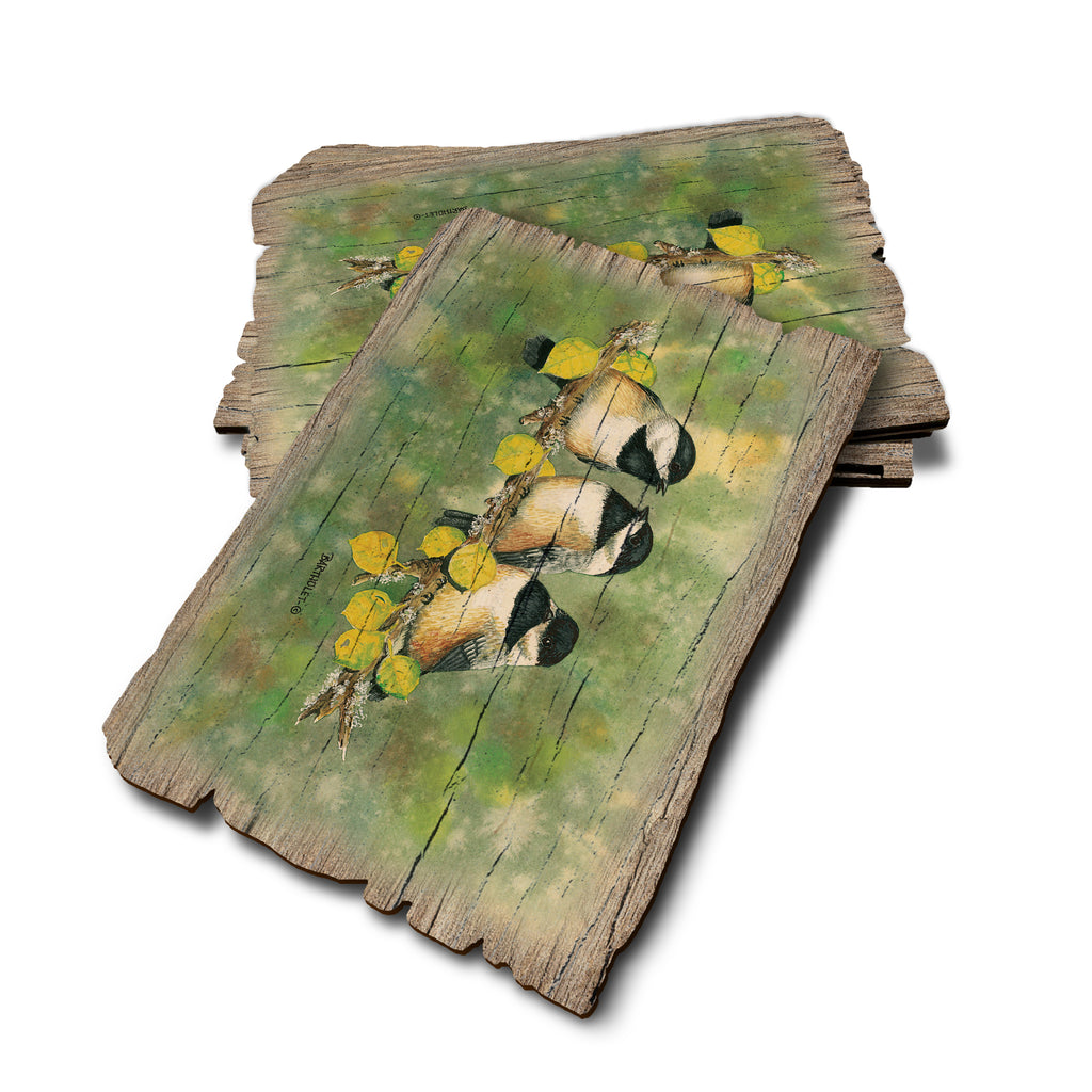 Bartholet's Threes Company - Weathered Edge Rustic Edge Postcard (5pk // $2.80ea)