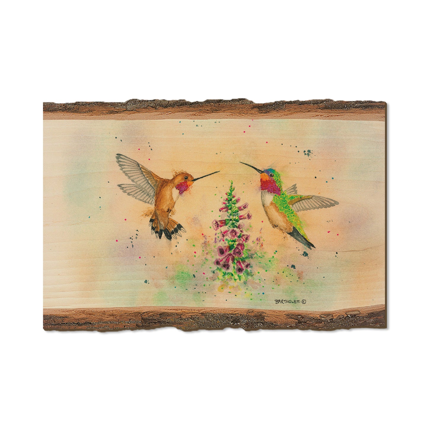 Bartholet's The Dispute  - Live Edge Live Edge Postcard (5pk // $2.80ea)