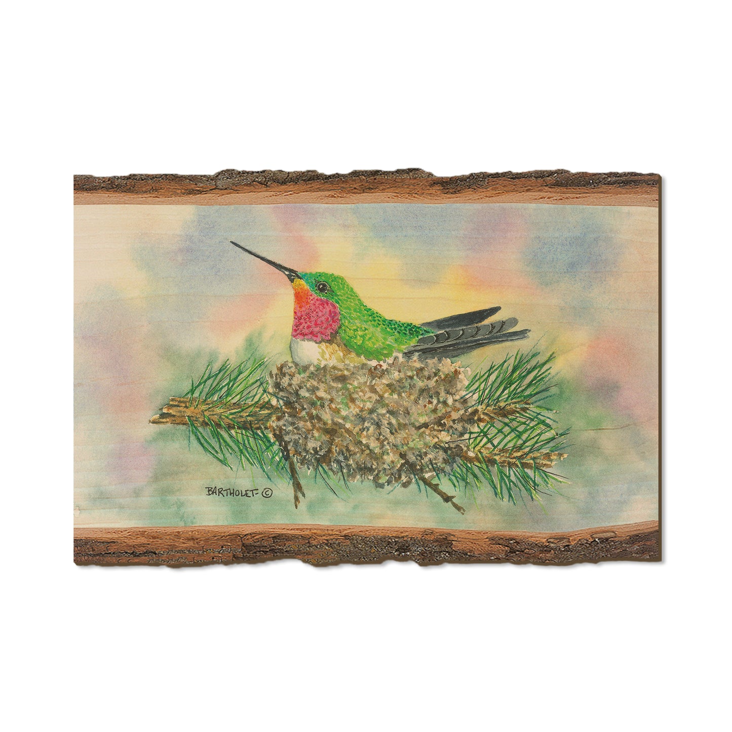 Bartholet's The Nest  - Live Edge Live Edge Postcard (5pk // $2.80ea)
