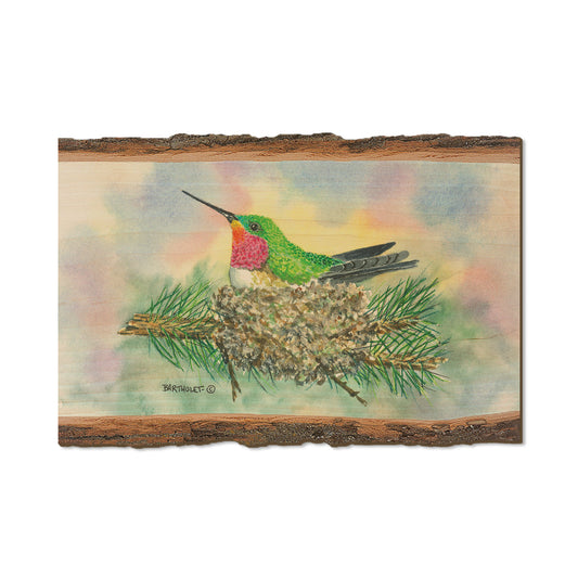 Bartholet's The Nest  - Live Edge Live Edge Postcard (5pk // $2.80ea)
