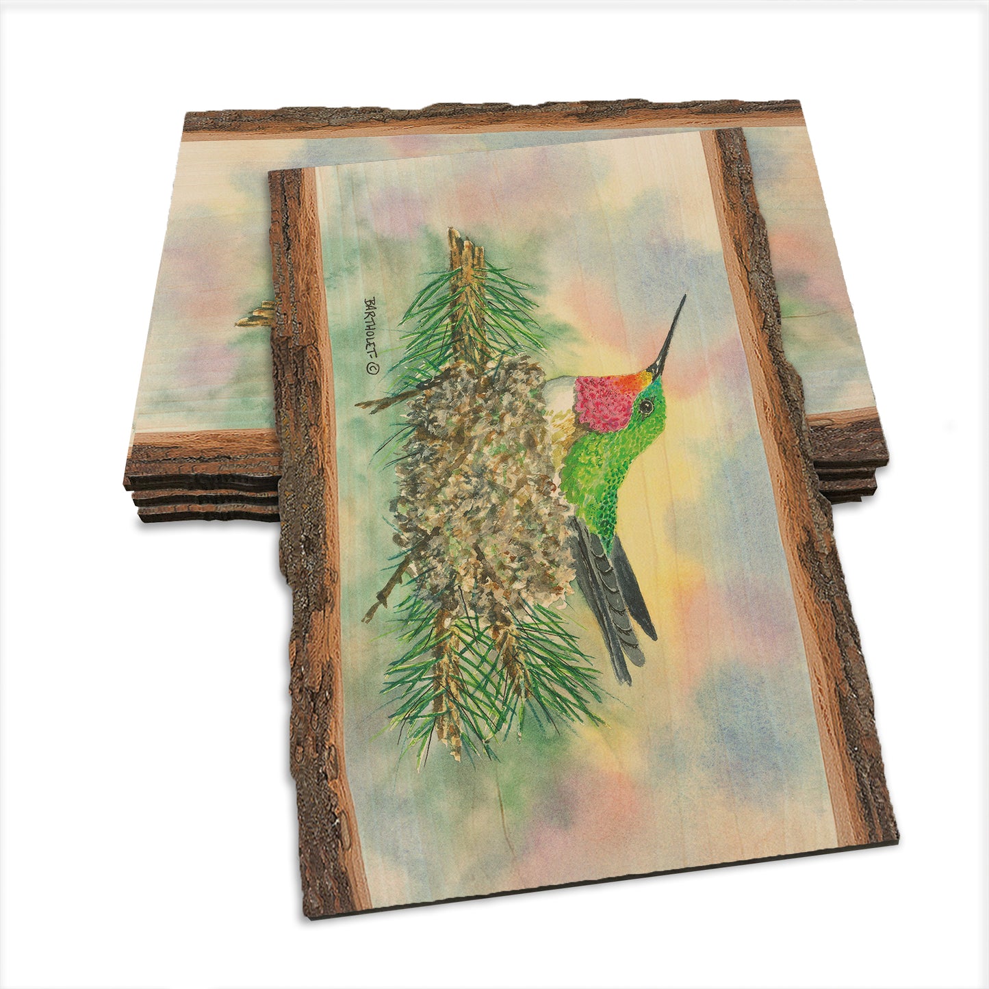 Bartholet's The Nest  - Live Edge Live Edge Postcard (5pk // $2.80ea)