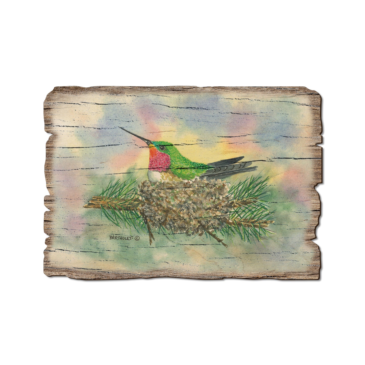 Bartholet's The Nest - Rustic Edge Postcards & Magnets Rustic Edge Postcard (5pk // $2.80ea)