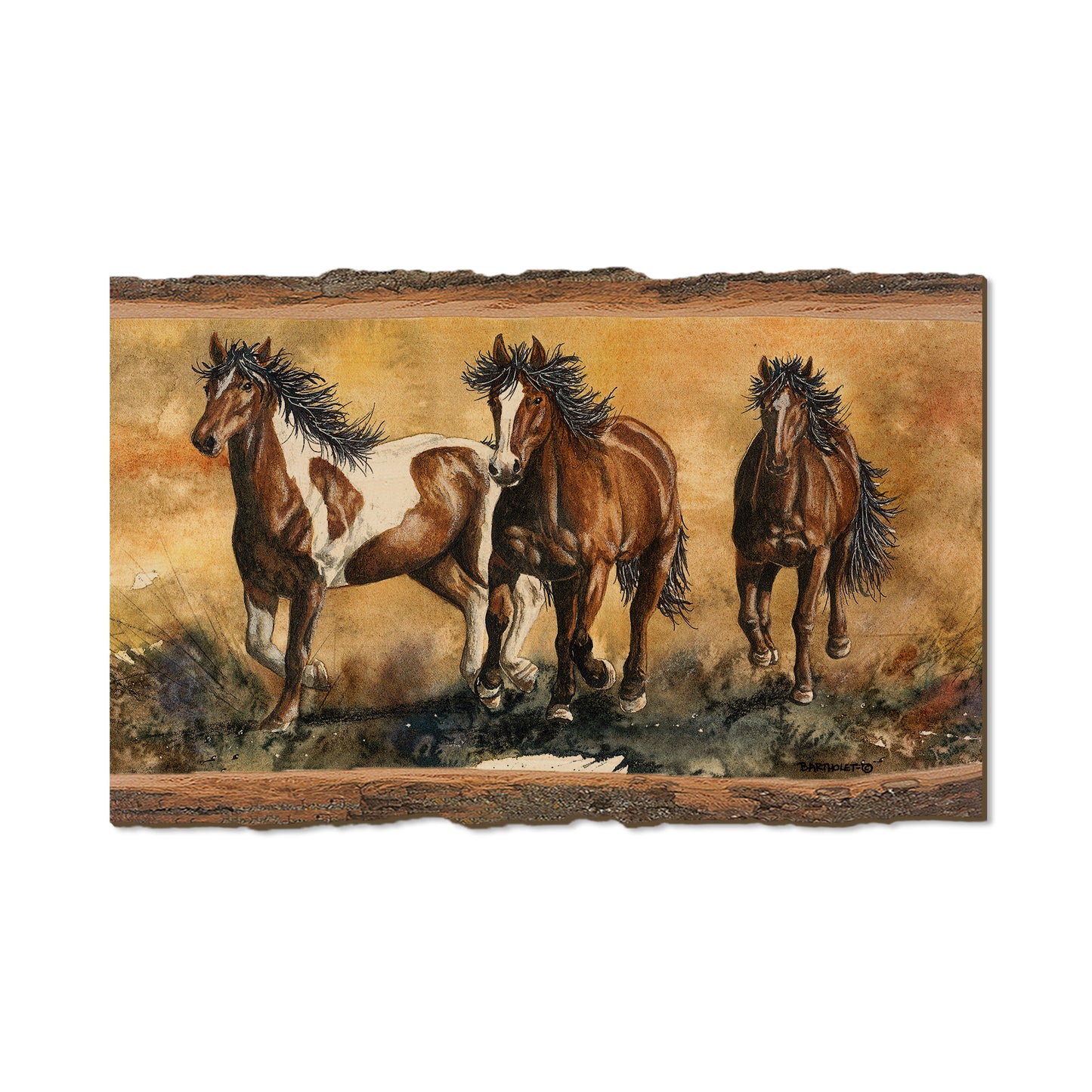 Bartholet's Touch Of Wild  - Live Edge Live Edge Magnet (5pk // $2.80ea)