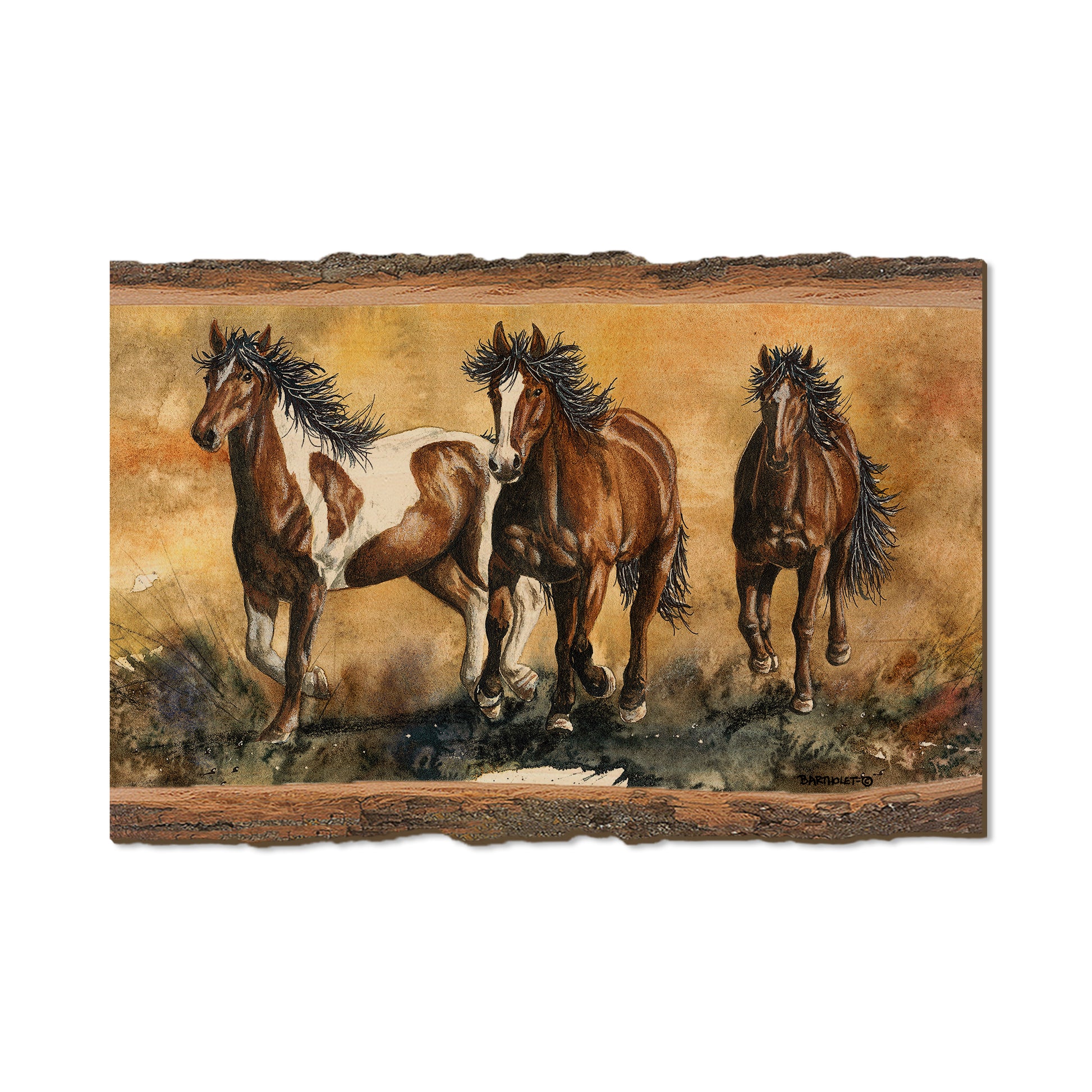Bartholet's Touch Of Wild  - Live Edge Live Edge Postcard (5pk // $2.80ea)