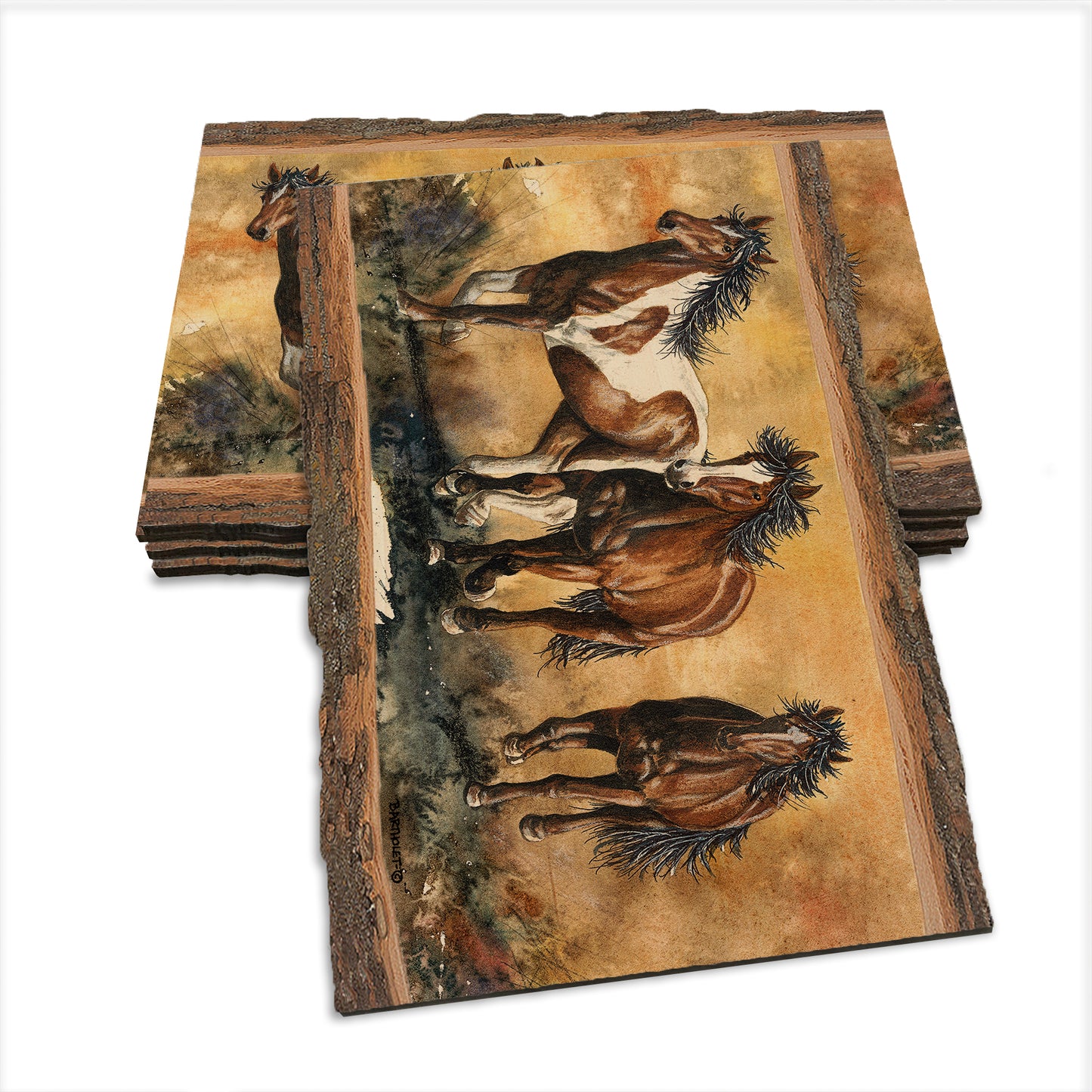Bartholet's Touch Of Wild  - Live Edge Live Edge Postcard (5pk // $2.80ea)