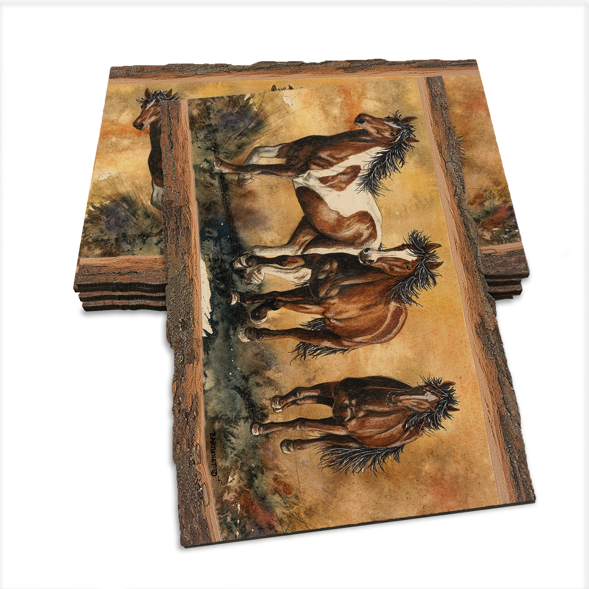 Bartholet's Touch Of Wild  - Live Edge Live Edge Postcard (5pk // $2.80ea)