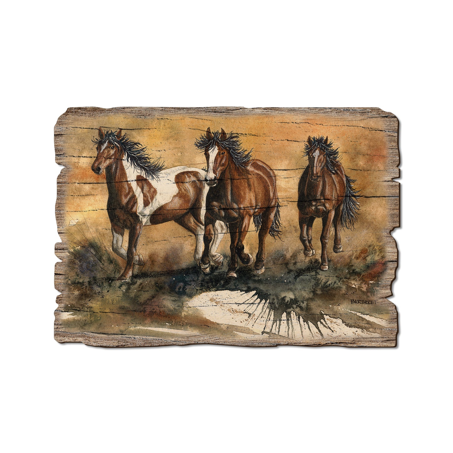 Bartholet's Touch Of Wild - Weathered Edge Rustic Edge Postcard (5pk // $2.80ea)