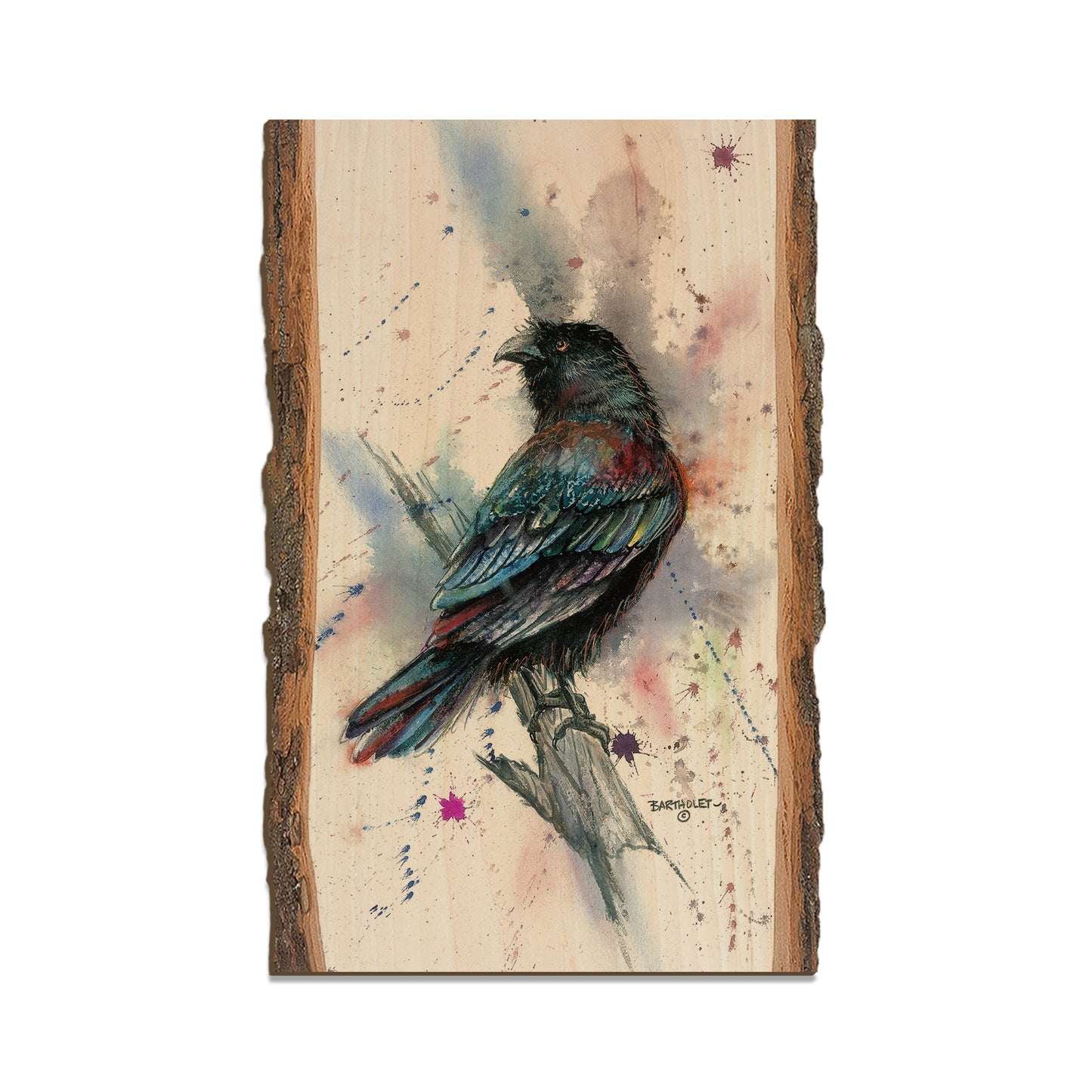 Bartholet's The Raven  - Live Edge Live Edge Magnet (5pk // $2.80ea)