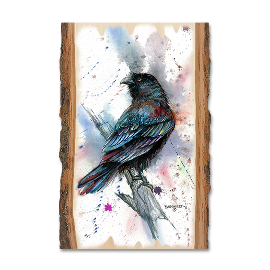 Magnet: Live Edge - Bartholet's The Raven