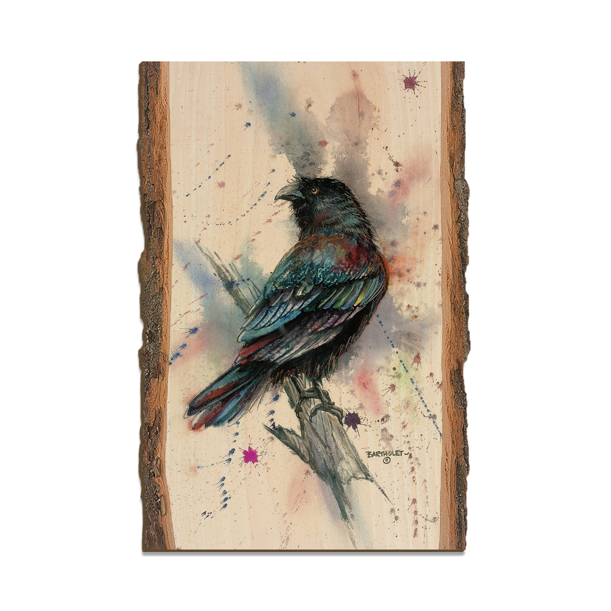 Bartholet's The Raven  - Live Edge Live Edge Postcard (5pk // $2.80ea)