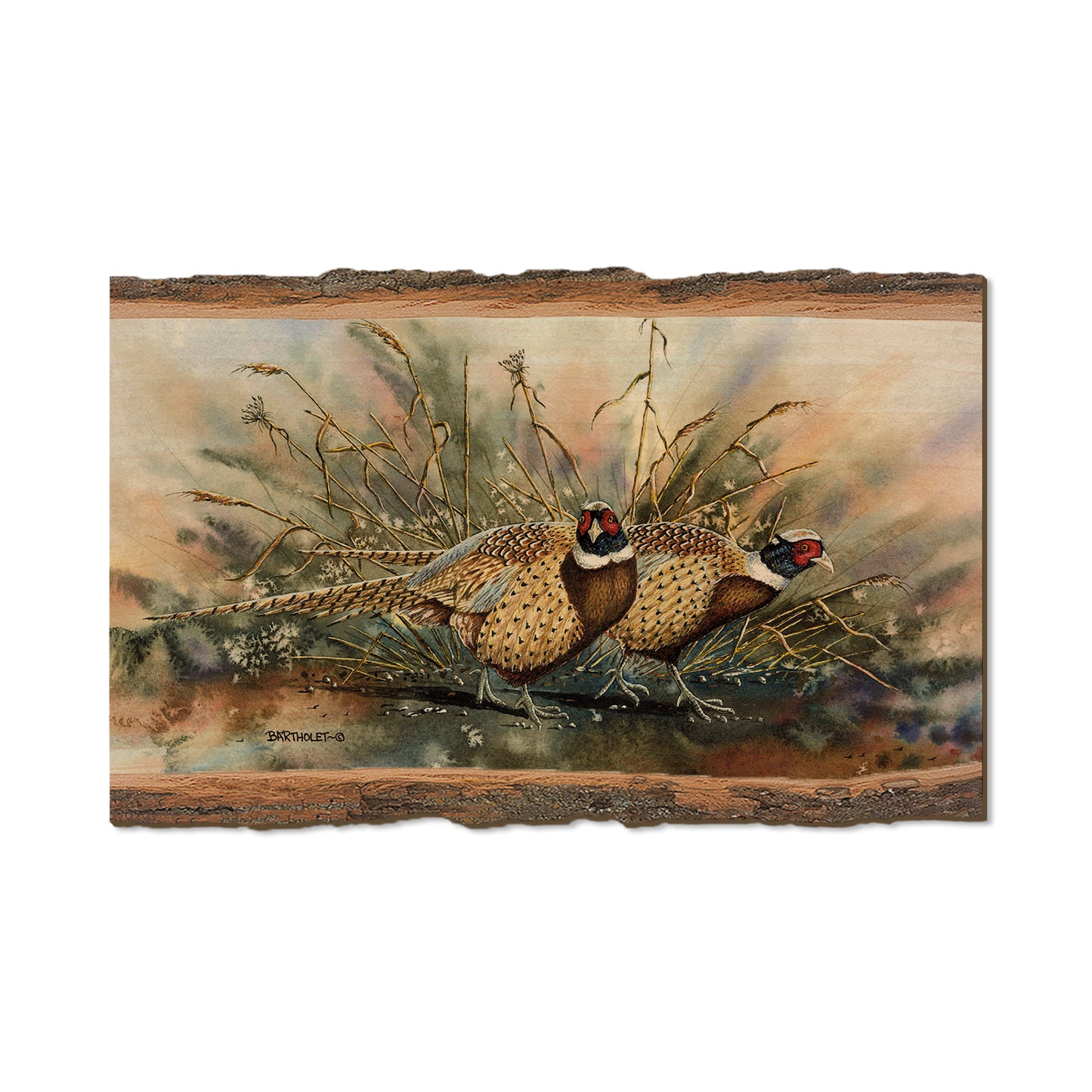 Bartholet's The Sneakers  - Live Edge Live Edge Magnet (5pk // $2.80ea)