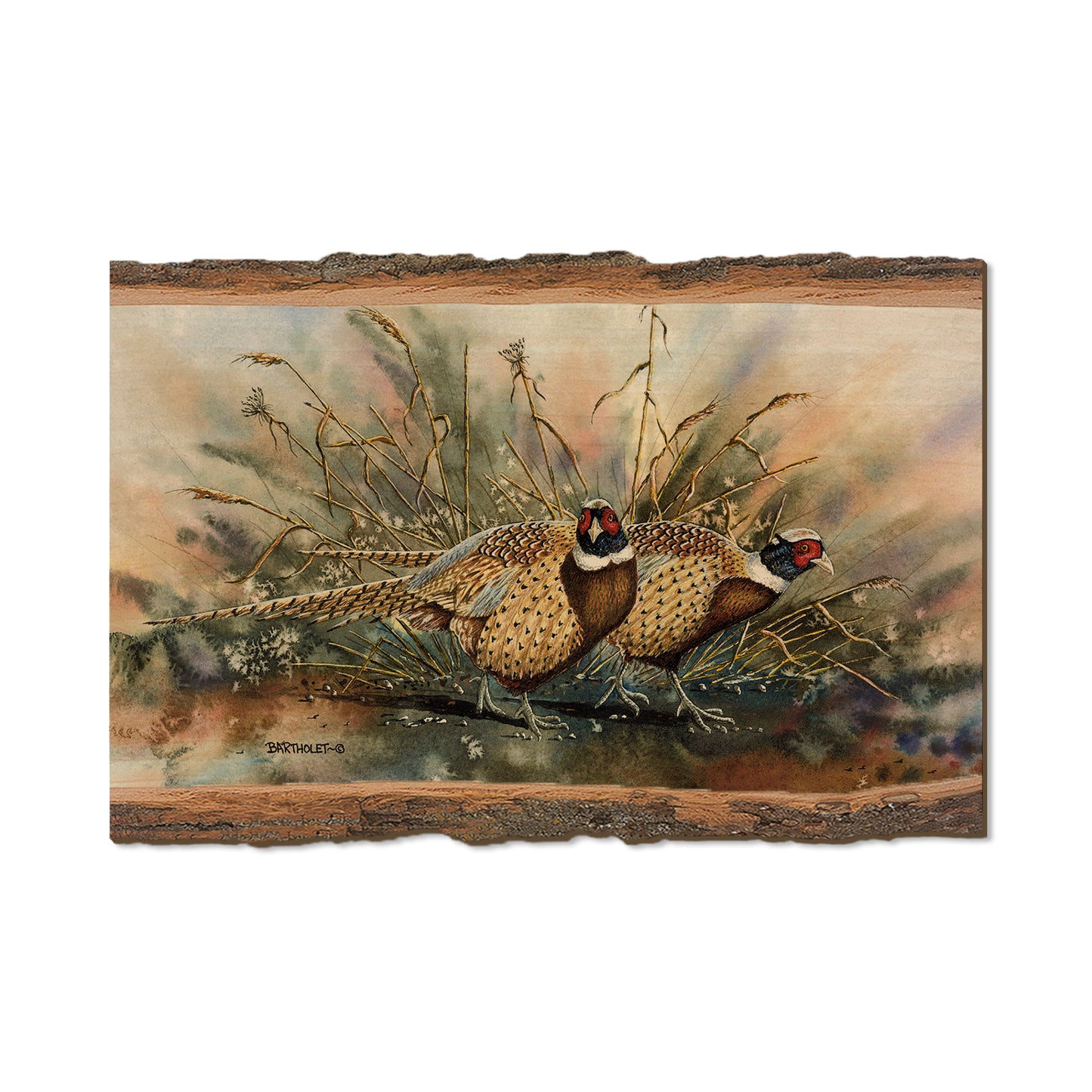 Bartholet's The Sneakers  - Live Edge Live Edge Postcard (5pk // $2.80ea)