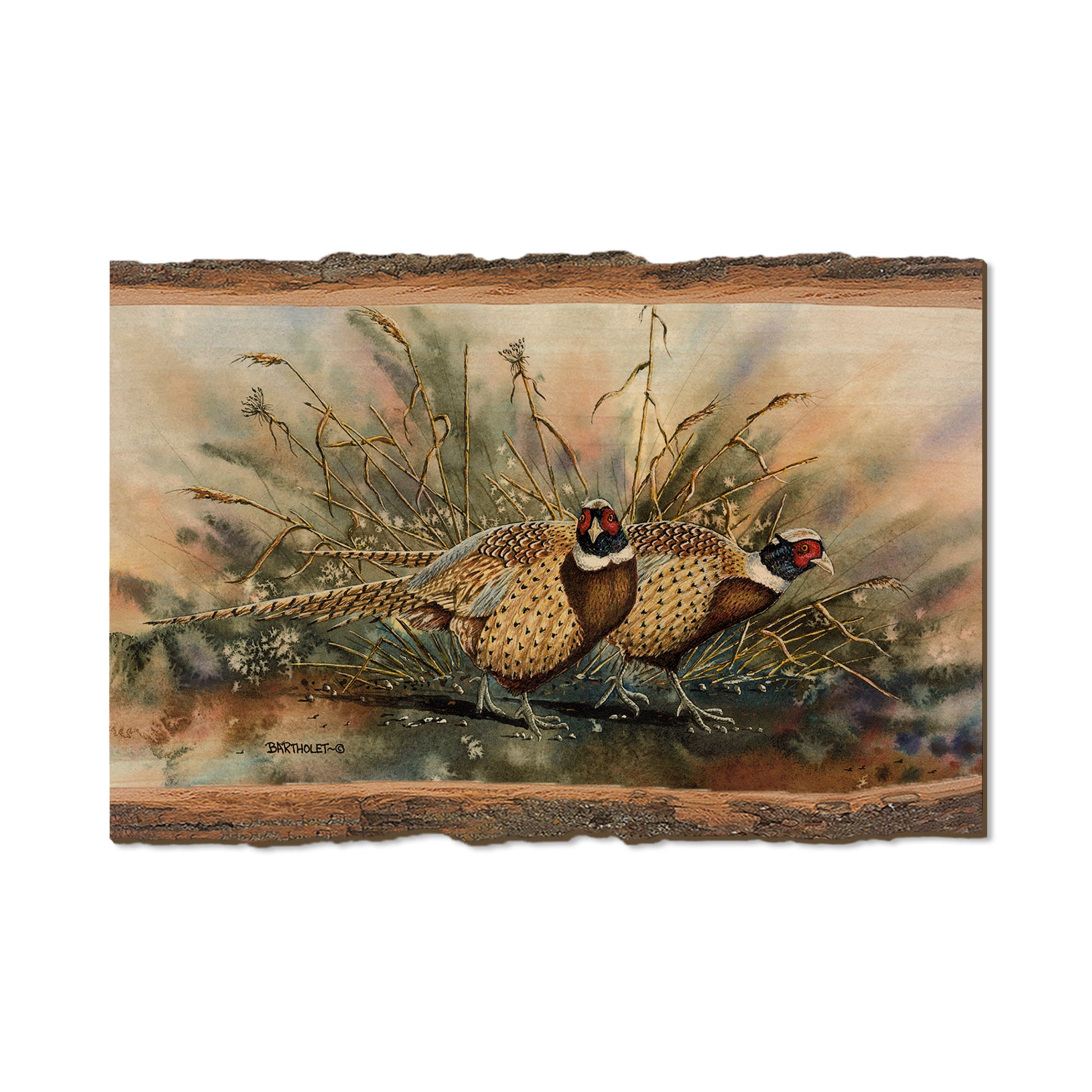 Bartholet's The Sneakers  - Live Edge Live Edge Postcard (5pk // $2.80ea)
