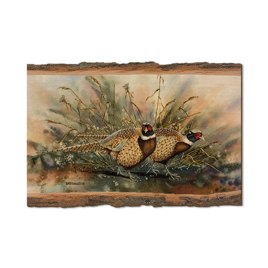 Bartholet's The Sneakers  - Live Edge Live Edge Postcard (5pk // $2.80ea)