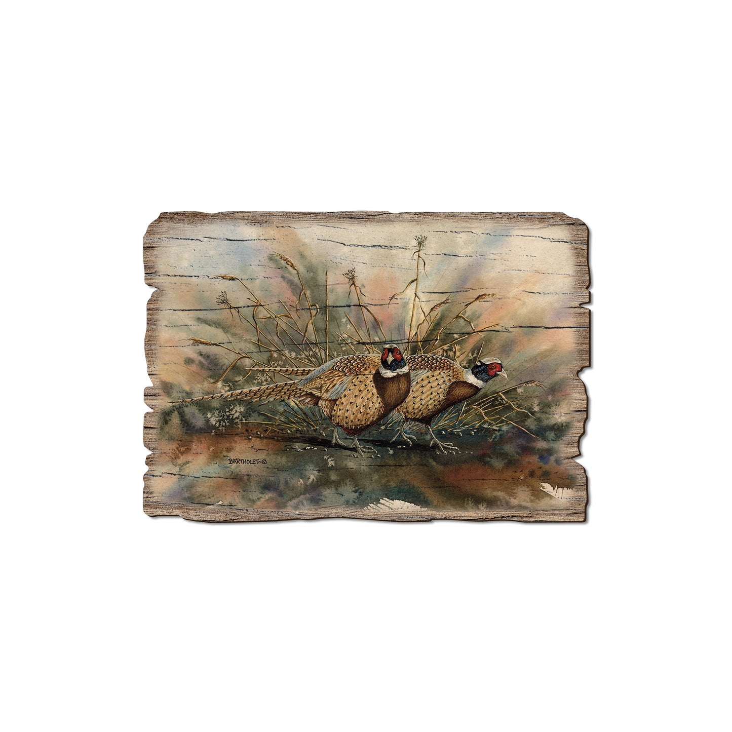 Bartholet's The Sneakers - Rustic Edge Postcards & Magnets Rustic Edge Magnet (5pk // $2.80ea)