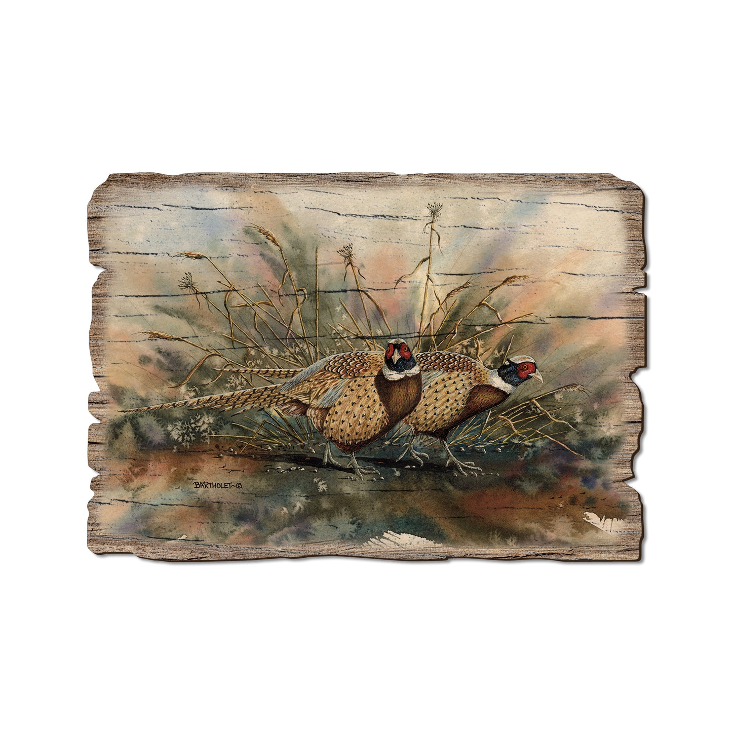 Bartholet's The Sneakers - Rustic Edge Postcards & Magnets Rustic Edge Postcard (5pk // $2.80ea)