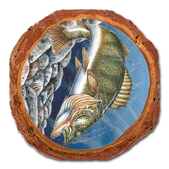 Coaster: Live Edge - Bartholet's Walleye
