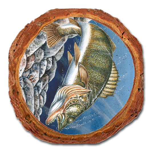 Coaster: Live Edge - Bartholet's Walleye