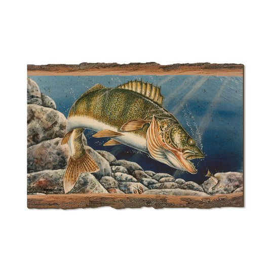 Bartholet's Walleye  - Live Edge Live Edge Postcard (5pk // $2.80ea)