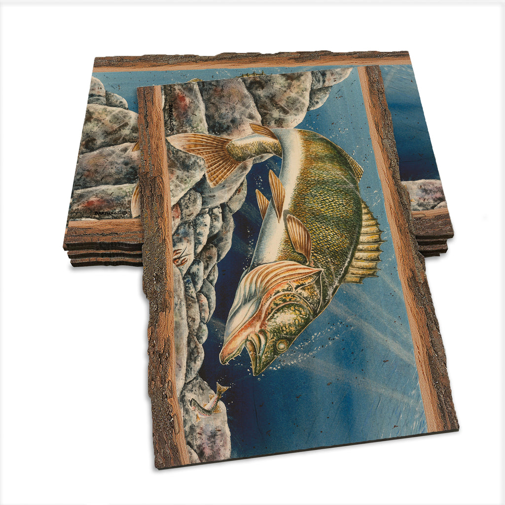 Bartholet's Walleye  - Live Edge Live Edge Postcard (5pk // $2.80ea)
