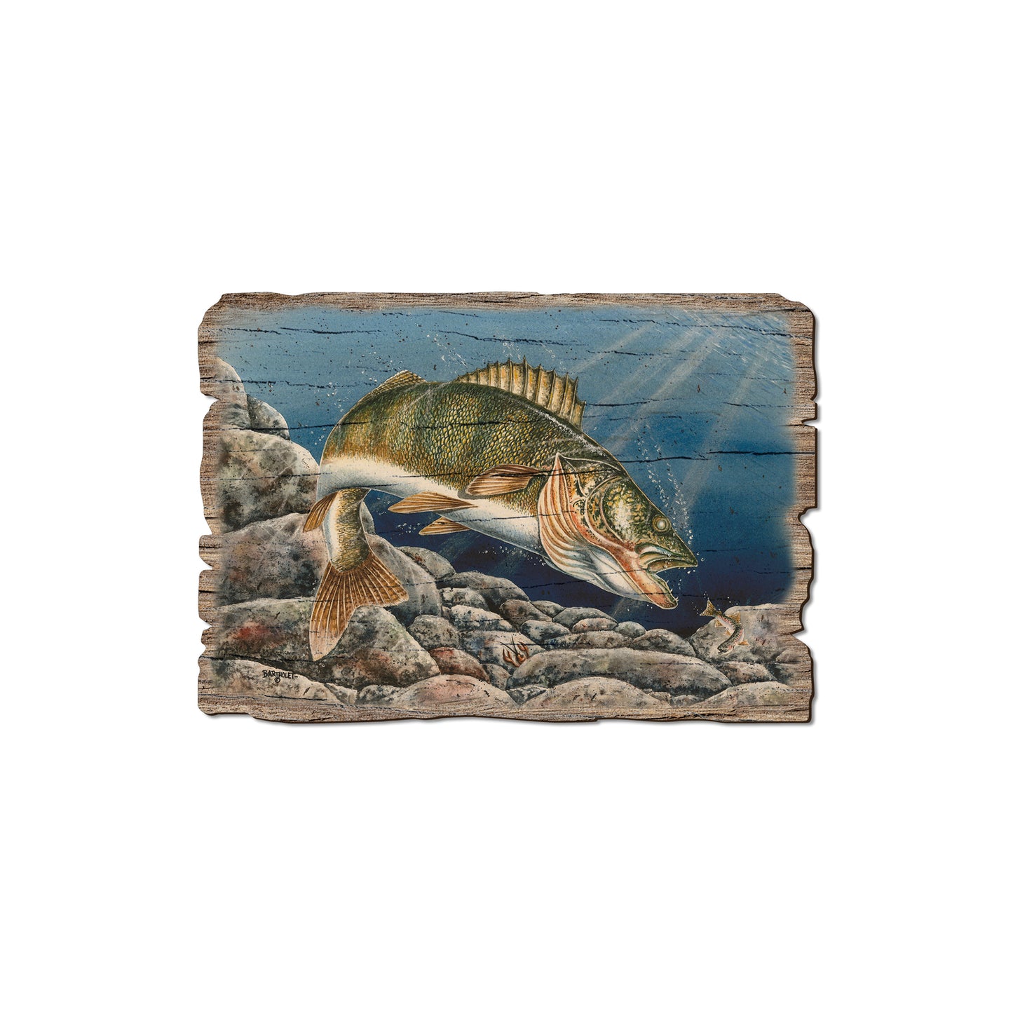 Bartholet's Walleye - Rustic Edge Postcards & Magnets Rustic Edge Magnet (5pk // $2.80ea)