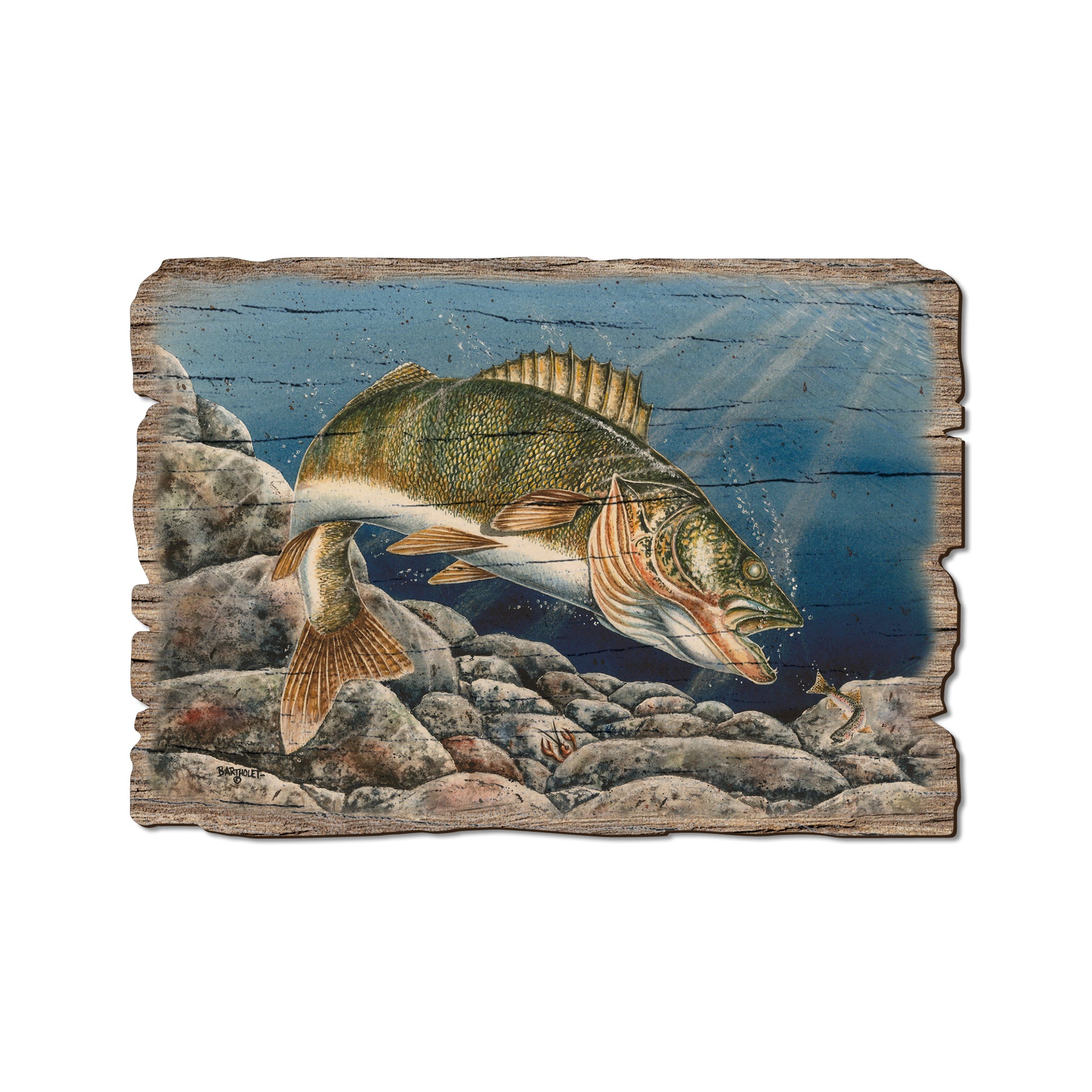 Bartholet's Walleye - Rustic Edge Postcards & Magnets Rustic Edge Postcard (5pk // $2.80ea)