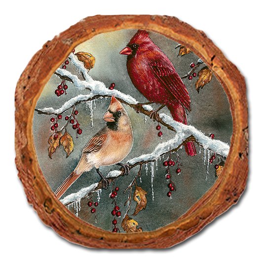 Coaster: Live Edge - Bartholet's Winter Cardinals (Pack of 5)