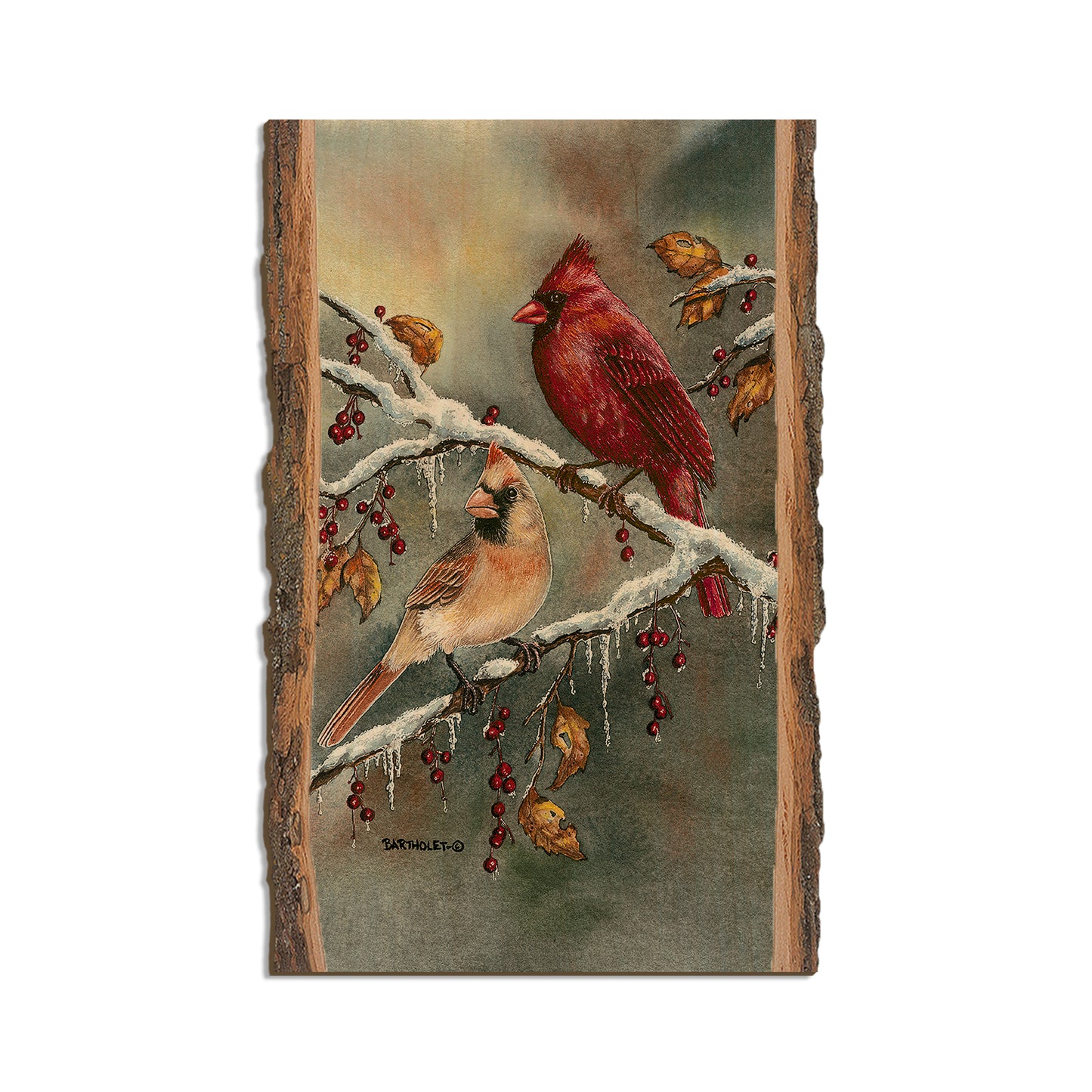 Bartholet's Winter Cardinals  - Live Edge Live Edge Magnet (5pk // $2.80ea)