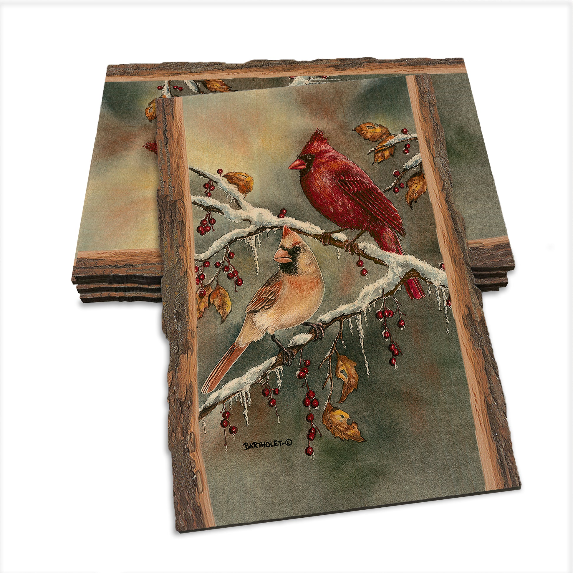 Bartholet's Winter Cardinals  - Live Edge Live Edge Postcard (5pk // $2.80ea)
