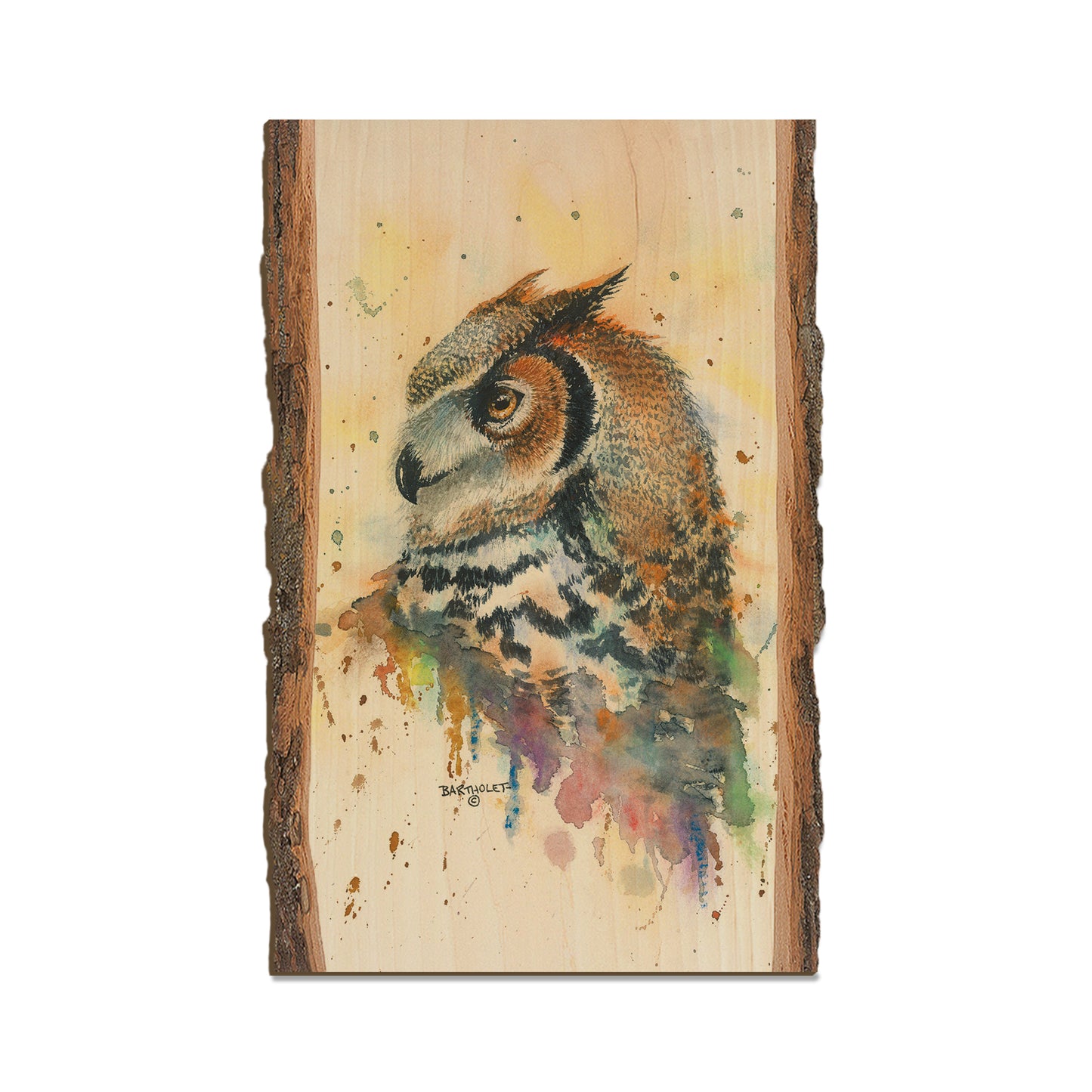 Bartholet's Watchful Eye  - Live Edge Live Edge Magnet (5pk // $2.80ea)