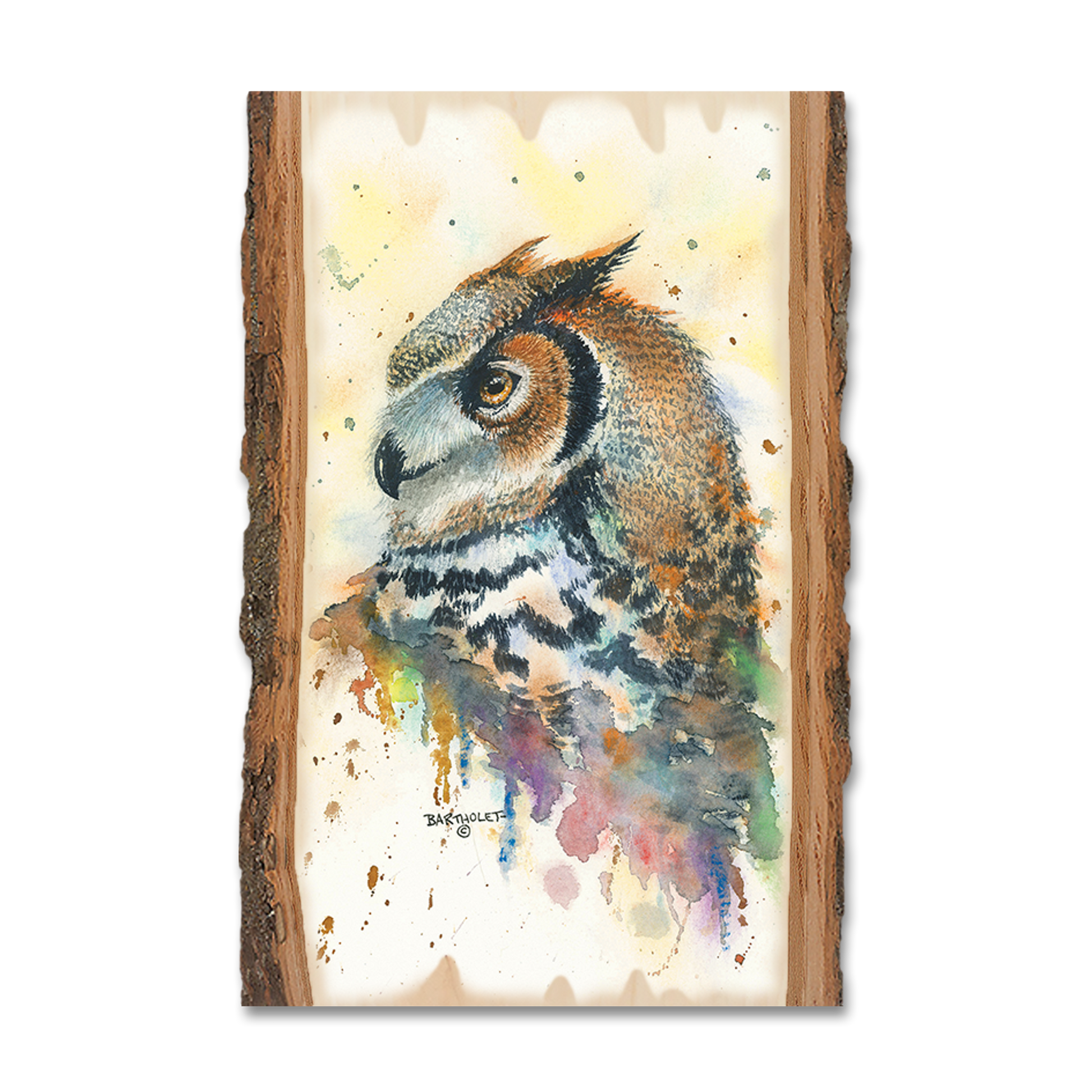 Magnet: Live Edge - Bartholet's Watchful Eye