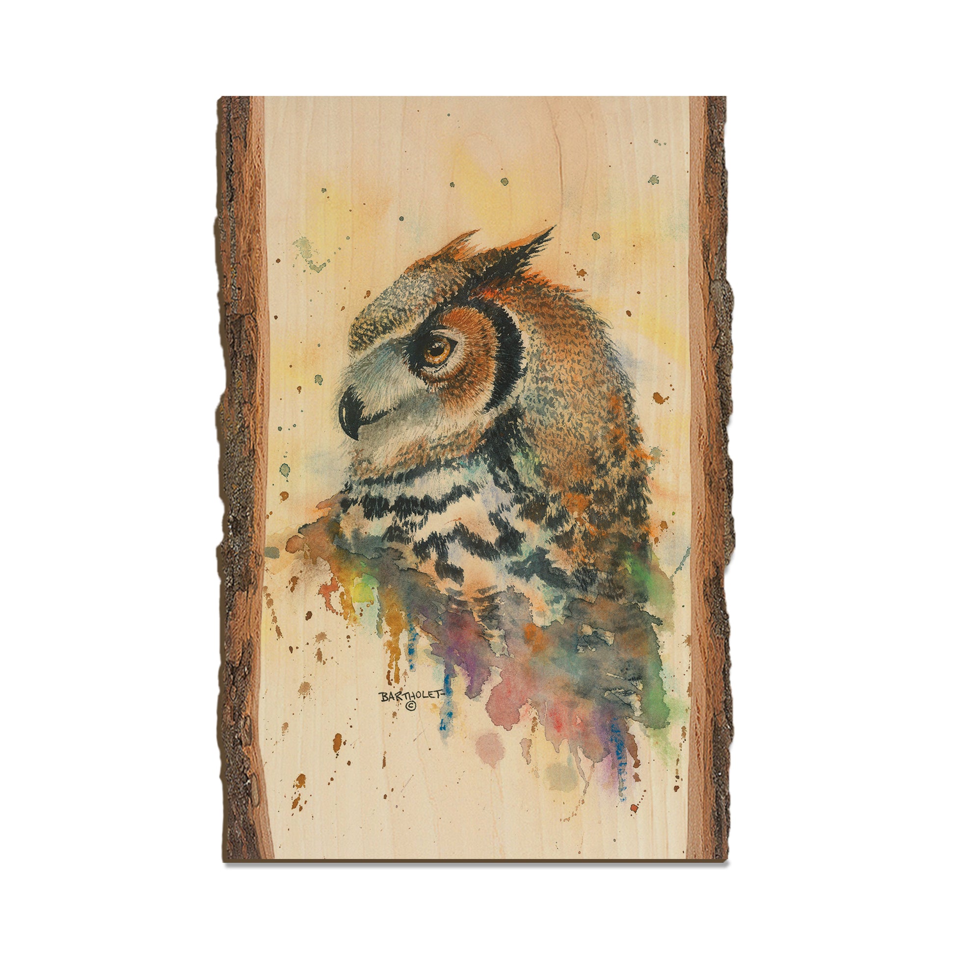 Bartholet's Watchful Eye  - Live Edge Live Edge Postcard (5pk // $2.80ea)