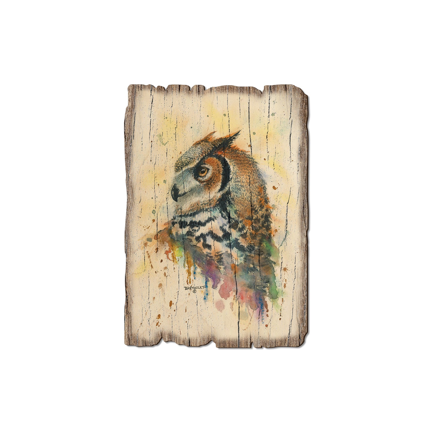 Bartholet's Watchful Eye - Rustic Edge Postcards & Magnets Rustic Edge Magnet (5pk // $2.80ea)